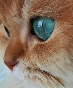Cat With Blue Eyes paint by numbers