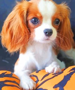Cavalier Dog paint by numbers