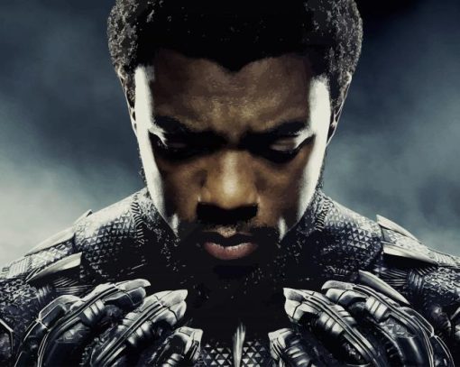 Chadwick Boseman As Black Panther paint by number