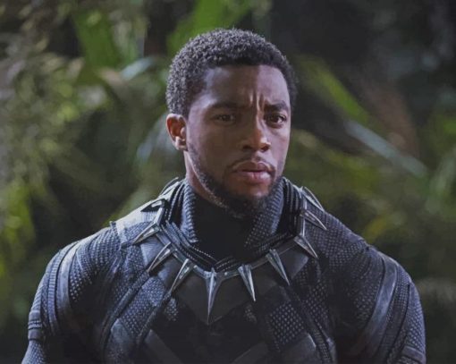 Chadwick Boseman Black Panther paint by number