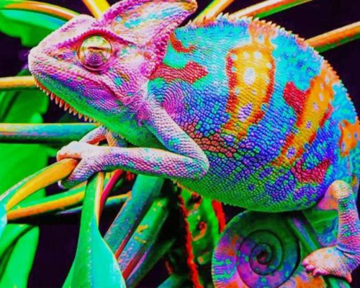 Chameleon Lizard Paint By Numbers