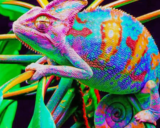 Chameleon Lizard Paint By Numbers