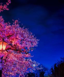 Cherry Blossom Night View paint by number