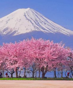 Cherry Blossom And Snowy Mountain paint by numbers