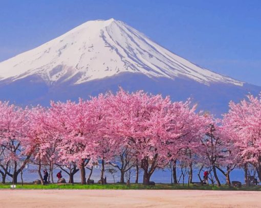 Cherry Blossom And Snowy Mountain paint by numbers
