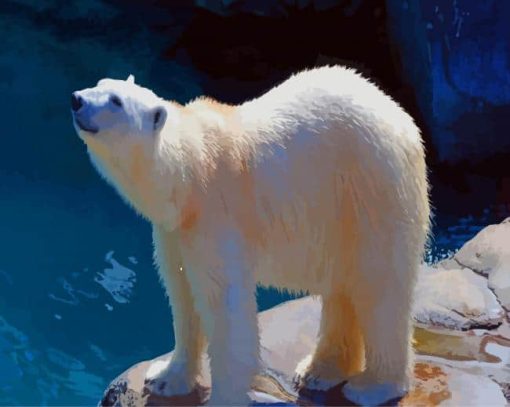 Chilling Polar Bear paint by number