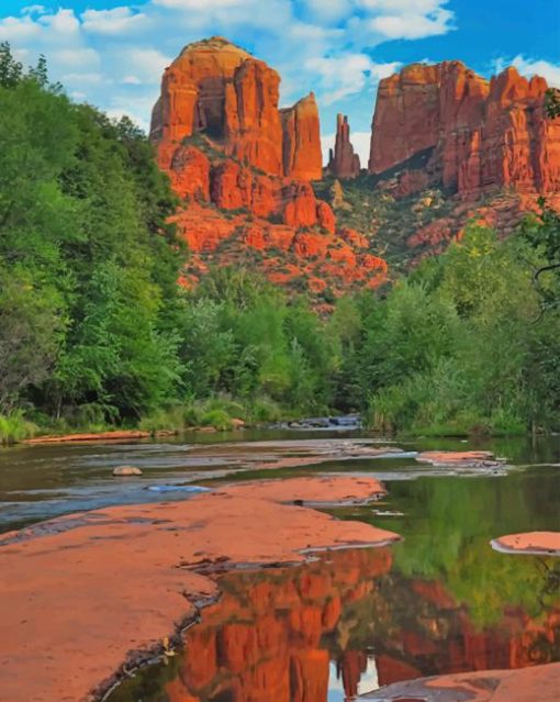 Coconino National Forest Arizona paint by number