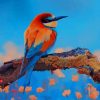 Colorful Bee Eater paint by number