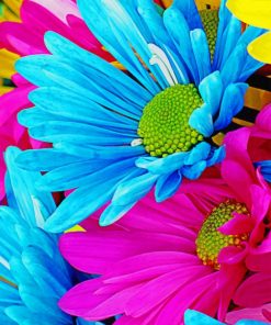 colorful daisy paint by number