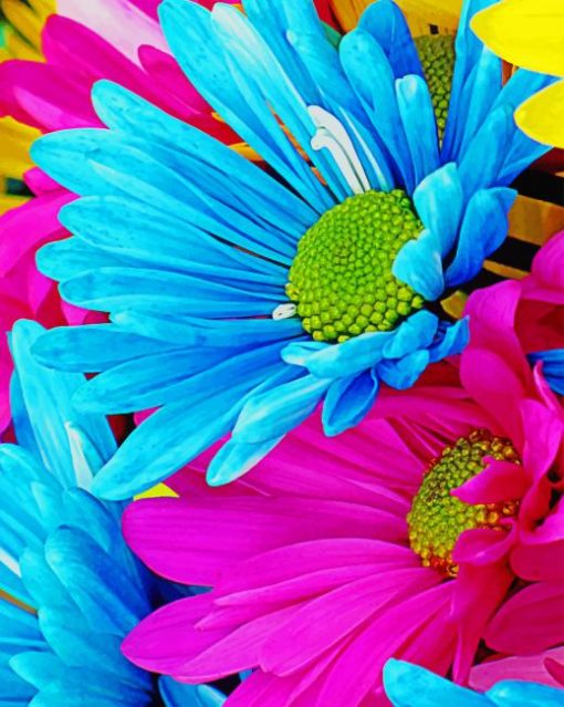 colorful daisy paint by number