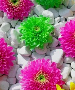 Colorful Flowers And Stones paint by number