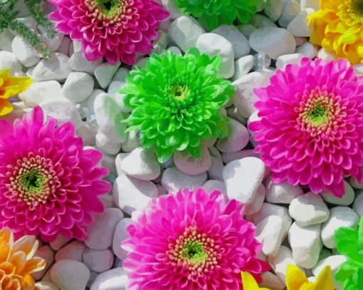 Colorful Flowers And Stones paint by number