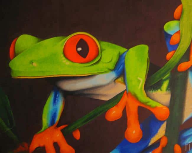Green Frog Painting paint by numbers