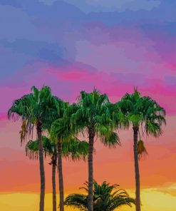 Colorful Sky Palm Trees paint by numbers