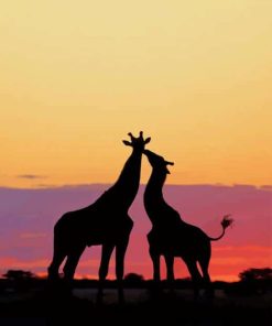 Couple Giraffe Sunset paint by numbers