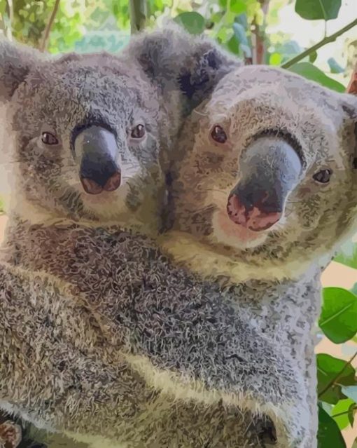 Couple in Love koala paint by numbers