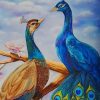Couple of Peacock paint by numbers