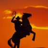 Cowboy on Horse Sunset paint by numbers