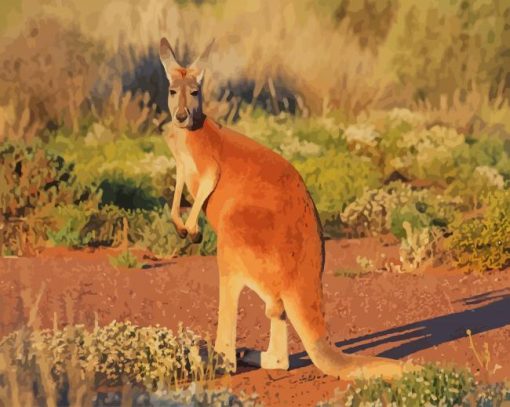 Cute Red kangaroo paint by numbers