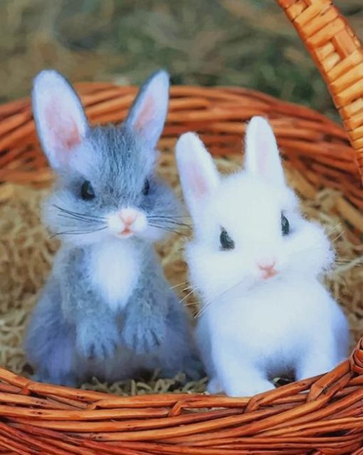 Cute Babies Rabbits paint by number