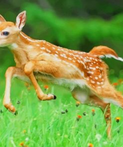 Cute Baby Deer Running Paint By Numbers