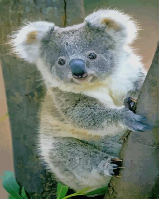 cute baby koala paint by numbers