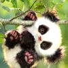 Cute Baby Panda paint by numbers