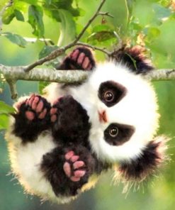 Cute Baby Panda paint by numbers