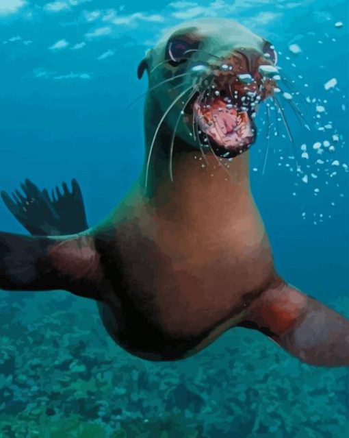 Cute California Sea Lion paint by numbers