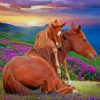 Cute Horse In Nature paint by numbers