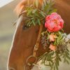 Cute Horse With Flowers paint by numbers