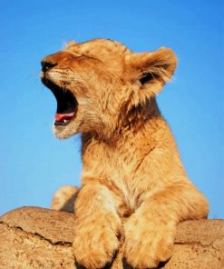 Cute Lion Yawning paint by numbers