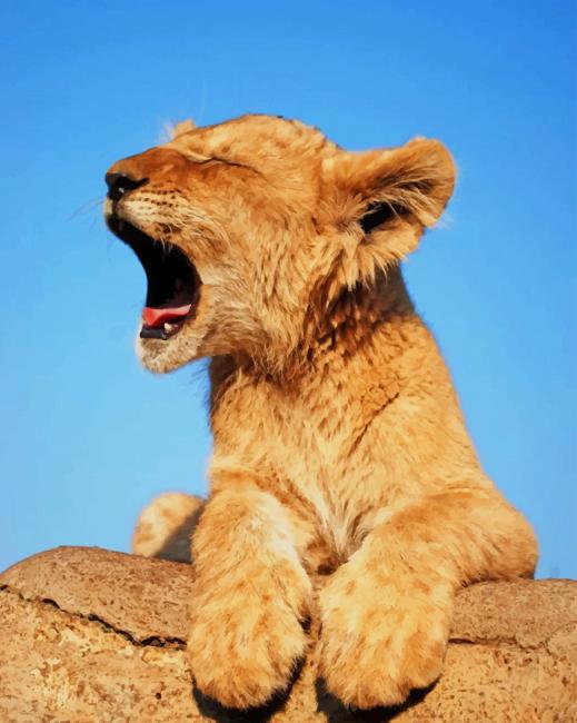 Cute Lion Yawning paint by numbers