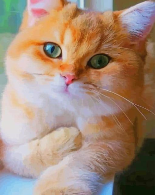 Cute Orange Cat paint by numbers