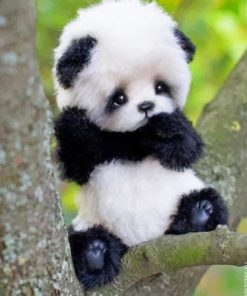 Cute Panda Paint By Numbers