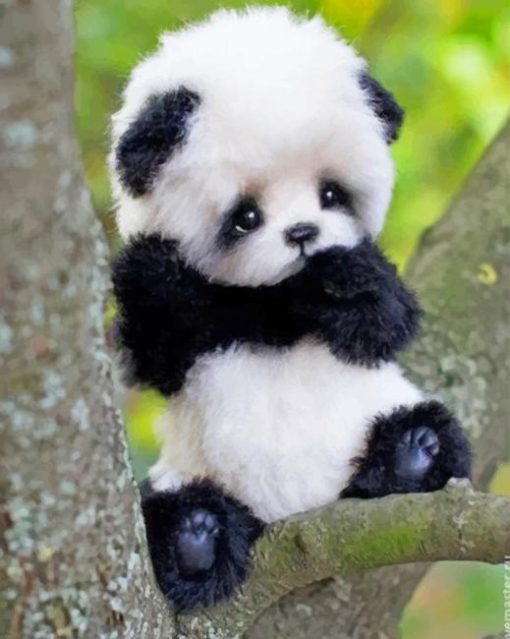 Cute Panda Paint By Numbers