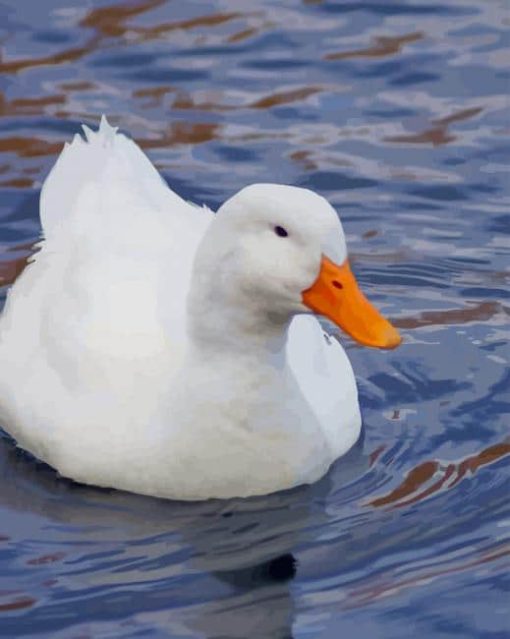 Cute Pet White Duck paint by numbers