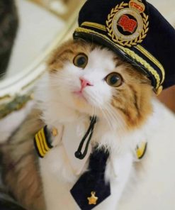 Cute Police Cat paint by number