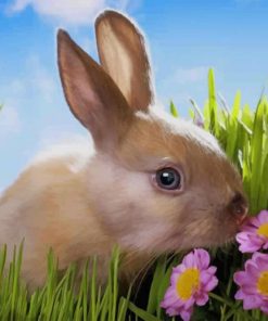 Rabbit Smelling Flowers paint by numbers