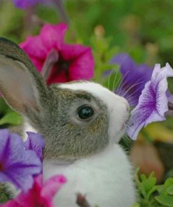 Rabbit And Flowers paint by numbers