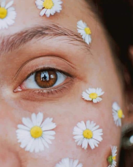 daisies on face paint by number