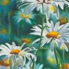 Daisy Flowers Paint By Numbers