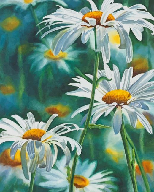 Relaxing Daisies Flowers Zen DIY Paint by Numbers Kit Canvas Framed Unframed 