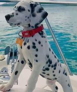 Dalmatian Puppy On Boat paint by numbers