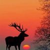 Deer Silhouette paint by numbers