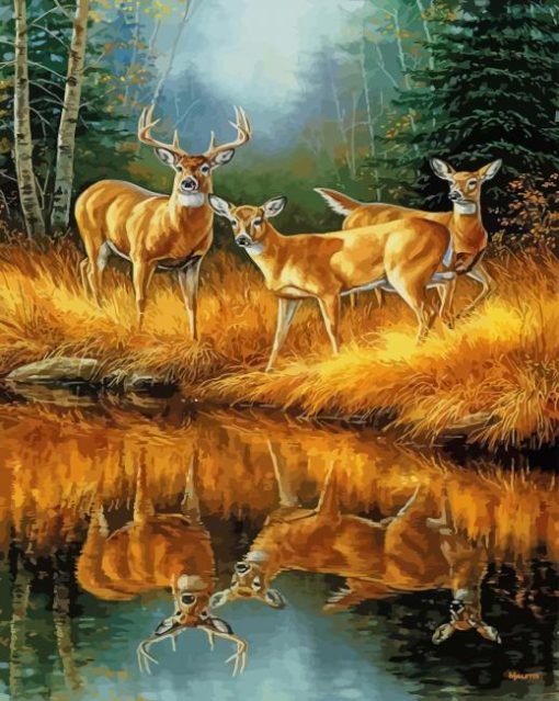 Deers in The Wild paint by numbers