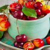 Delicious Cherries paint by number