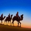 Camels Desert Silhouette paint by number
