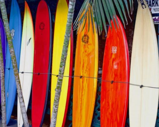 Multi Colored Surf Boards paint by numbers