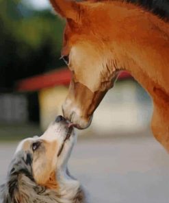 Dog Kissing Horse paint by numbers